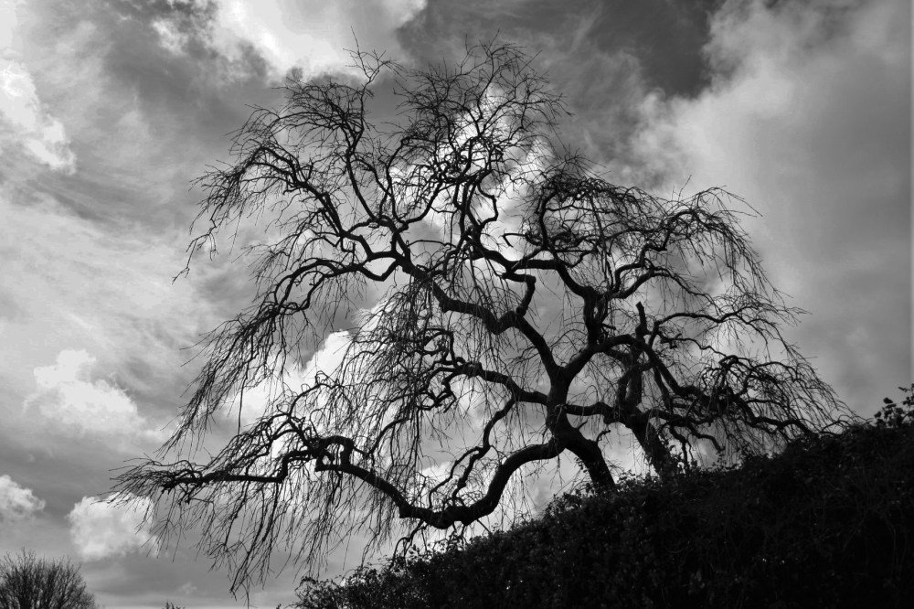 Easter 2016 036 2 (2)