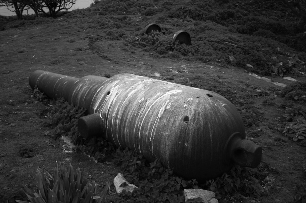 FLAT HOLM 2016 050 (2)
