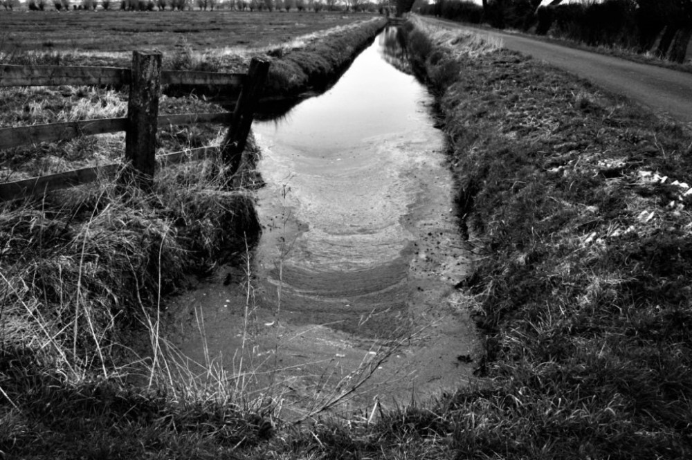 Maralyn visit March 021 (4)comp